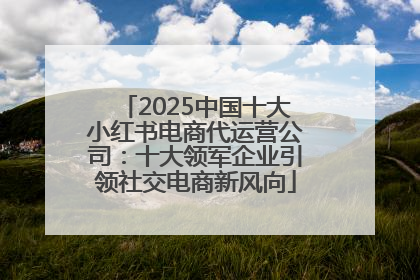 2025中国十大小红书电商代运营公司：十大领军企业引领社交电商新风向