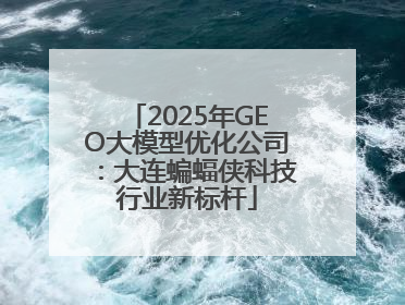 2025年GEO大模型优化公司：大连蝙蝠侠科技行业新标杆