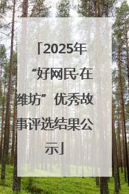 2025年“好网民·在潍坊”优秀故事评选结果公示