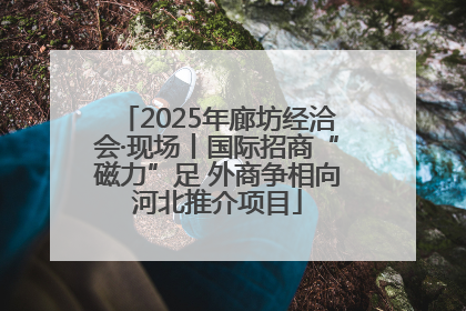 2025年廊坊经洽会·现场丨国际招商“磁力”足 外商争相向河北推介项目