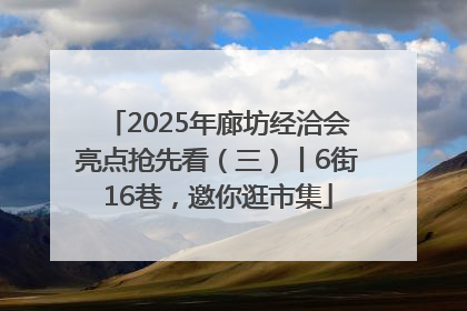 2025年廊坊经洽会亮点抢先看（三）丨6街16巷，邀你逛市集