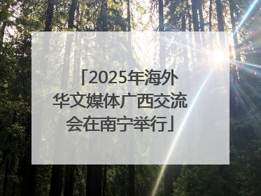 2025年海外华文媒体广西交流会在南宁举行