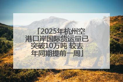 2025年杭州空港口岸国际货运量已突破10万吨 较去年同期提前一周