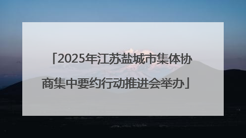 2025年江苏盐城市集体协商集中要约行动推进会举办