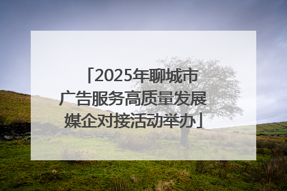 2025年聊城市广告服务高质量发展媒企对接活动举办