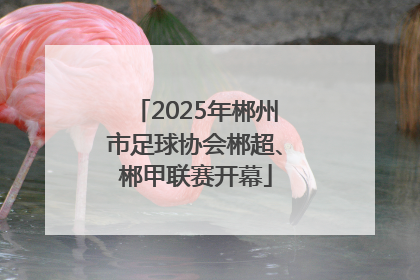 2025年郴州市足球协会郴超、郴甲联赛开幕