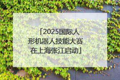 2025国际人形机器人技能大赛在上海张江启动