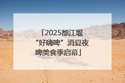 2025都江堰“好嗨啤”消夏夜啤美食季启幕