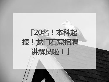 20名！本科起报！龙门石窟招聘讲解员啦！