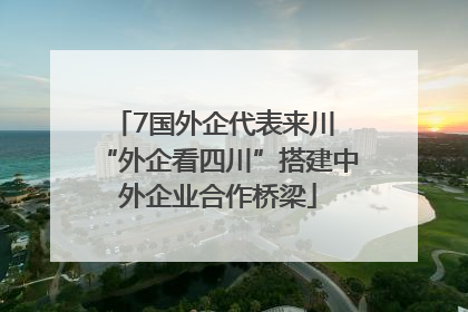 7国外企代表来川 “外企看四川”搭建中外企业合作桥梁