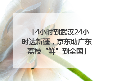 4小时到武汉24小时达新疆，京东助广东荔枝“鲜”到全国