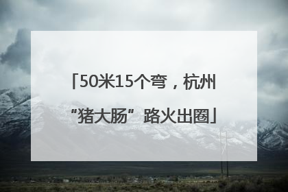 50米15个弯，杭州“猪大肠”路火出圈