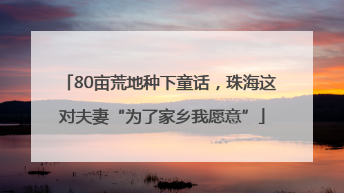80亩荒地种下童话，珠海这对夫妻“为了家乡我愿意”