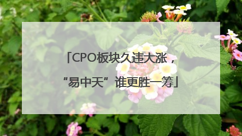 CPO板块久违大涨，“易中天”谁更胜一筹