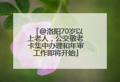 @洛阳70岁以上老人，公交敬老卡集中办理和年审工作即将开始