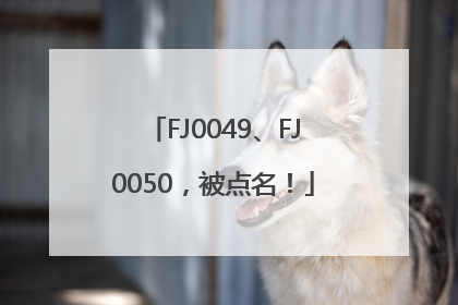 FJ0049、FJ0050，被点名！