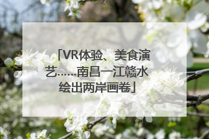 VR体验、美食演艺……南昌一江赣水绘出两岸画卷